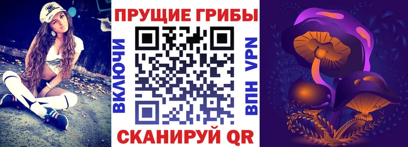 Псилоцибиновые грибы мицелий  OMG tor  Вихоревка 